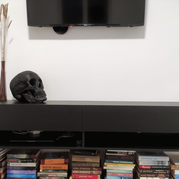 3D žmogaus kaukolė