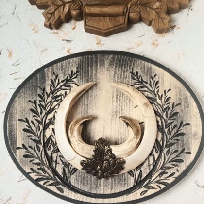 Trofėjų lentelė šerno iltims