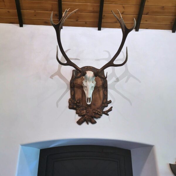 Didelė trofėjaus lentelė