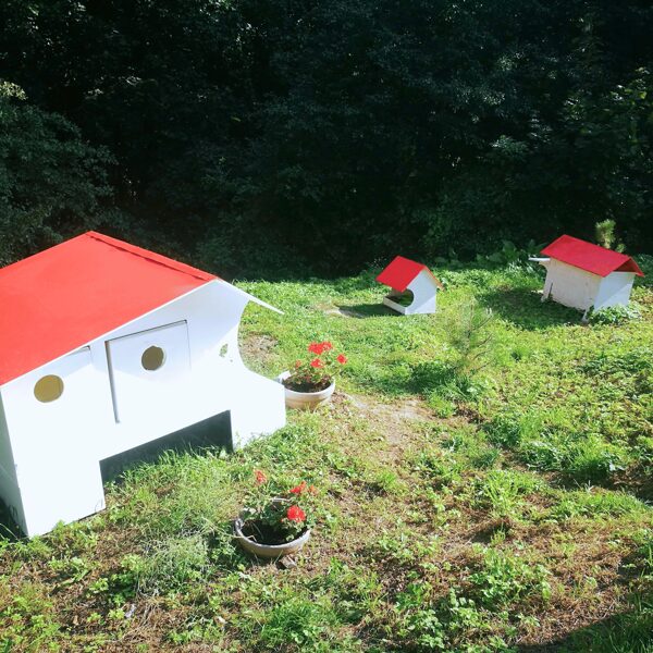 Mediniai kačių nameliai