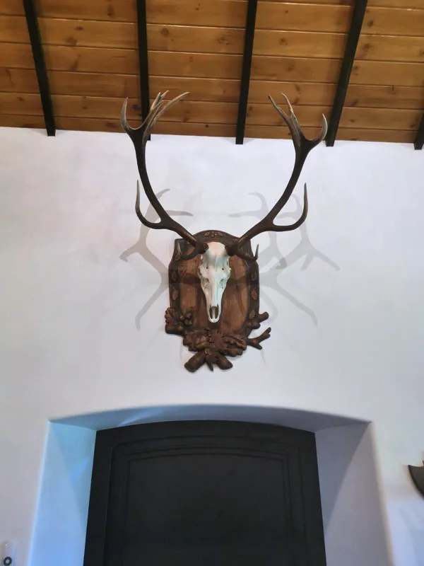 Didelė trofėjaus lentelė